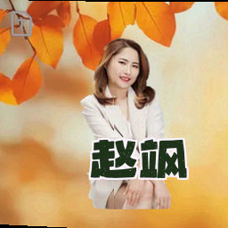 赵飒